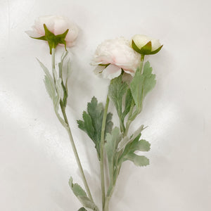 RANUNCULUS STEM - PINK