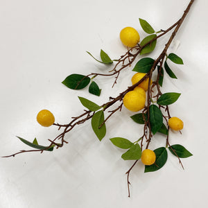 LEMON STEM