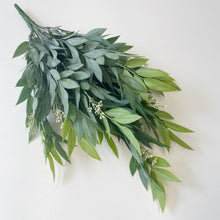 Load image into Gallery viewer, GREEN RUSCUS BUSH
