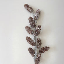 Load image into Gallery viewer, PINE CONE STEM
