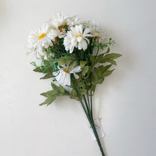 Load image into Gallery viewer, WHITE DAISY BUSH
