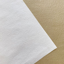 Load image into Gallery viewer, EMBOSSED PAPER
