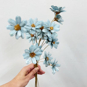 DRIED AFRICAN DAISY - BLUE