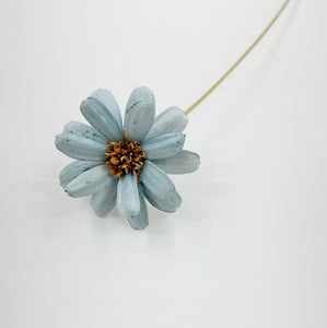 DRIED AFRICAN DAISY - BLUE