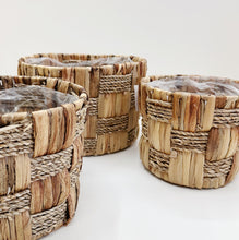 Load image into Gallery viewer, WATER HYACINTH PLANTER
