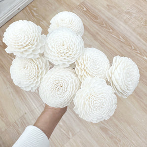 SOLA FLOWER