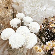 Load image into Gallery viewer, SOLA FLOWER
