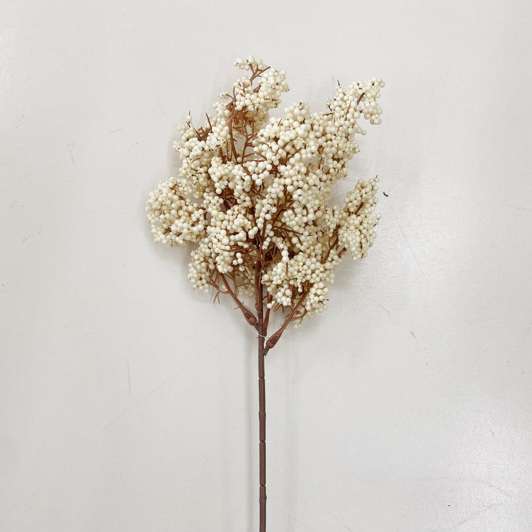 DRIED BUBBLE STEM