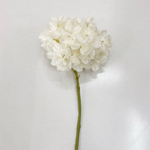DRIED LOOK HYDRANGEA