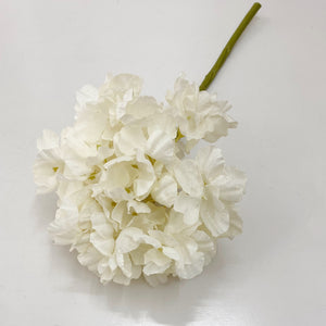 DRIED LOOK HYDRANGEA
