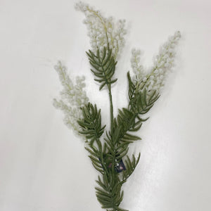 MIMOSA SPRAY