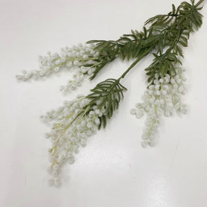 MIMOSA SPRAY