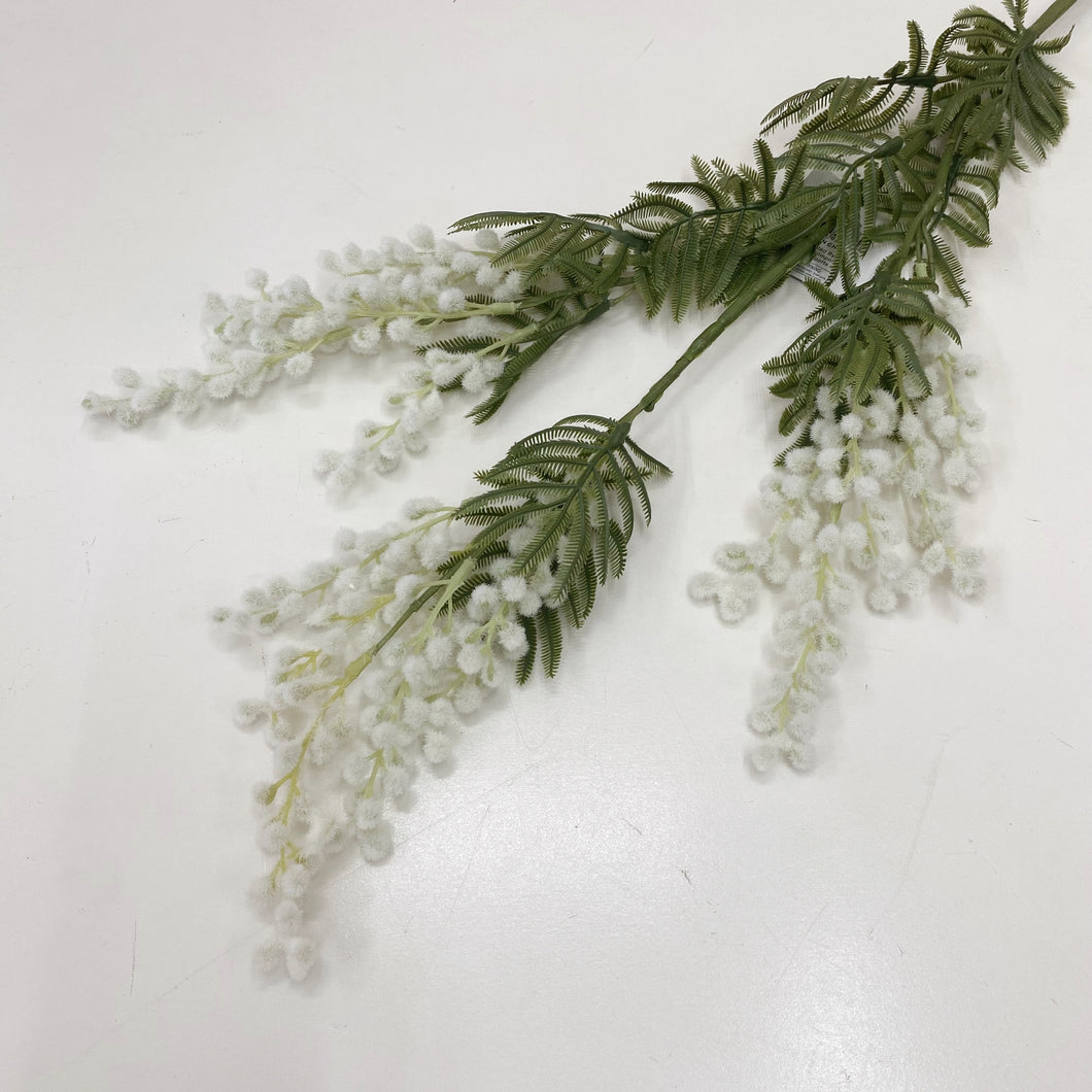 MIMOSA SPRAY