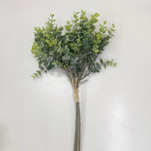 EUCALYPTUS BUNCH