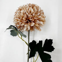 Load image into Gallery viewer, CHRYSANTHEMUM POM POM - NUDE
