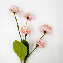 Load image into Gallery viewer, MINI CHRYSANTHEMUM - PINK
