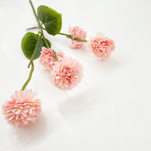 Load image into Gallery viewer, MINI CHRYSANTHEMUM - PINK
