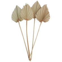 Load image into Gallery viewer, NATURAL SPEAR PALM
