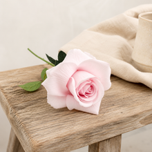 Load image into Gallery viewer, Everlasting Rose
