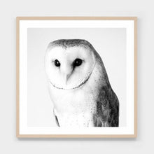 Load image into Gallery viewer, BARN OWL FRAMED PRINT
