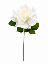 Load image into Gallery viewer, Blooming Rose
