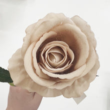 Load image into Gallery viewer, VELVET ROSE - NUDE
