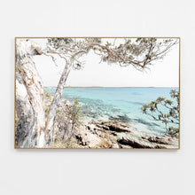 Load image into Gallery viewer, COASTAL GUM CANVAS PRINT
