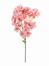 Load image into Gallery viewer, Hydrangea Stem
