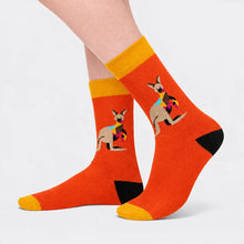Load image into Gallery viewer, Novelty socks - Kangaroo
