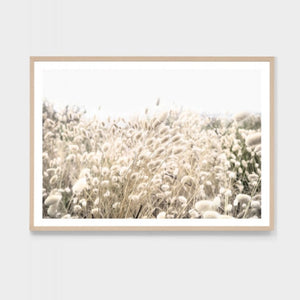 BUNNY TAIL FIELD FRAMED PRINT
