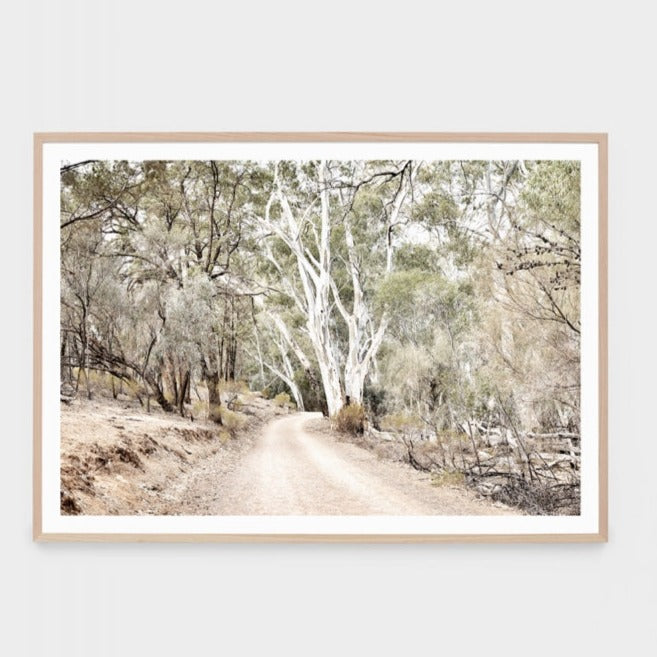 AUSTRALIAN BUSH FRAMED PRINT
