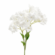 Load image into Gallery viewer, Hydrangea Stem

