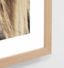 Load image into Gallery viewer, HIGHLAND PONY FRAMED PRINT
