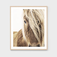 Load image into Gallery viewer, HIGHLAND PONY FRAMED PRINT
