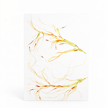 Load image into Gallery viewer, Native Rough Spear Grass | Greeting Card
