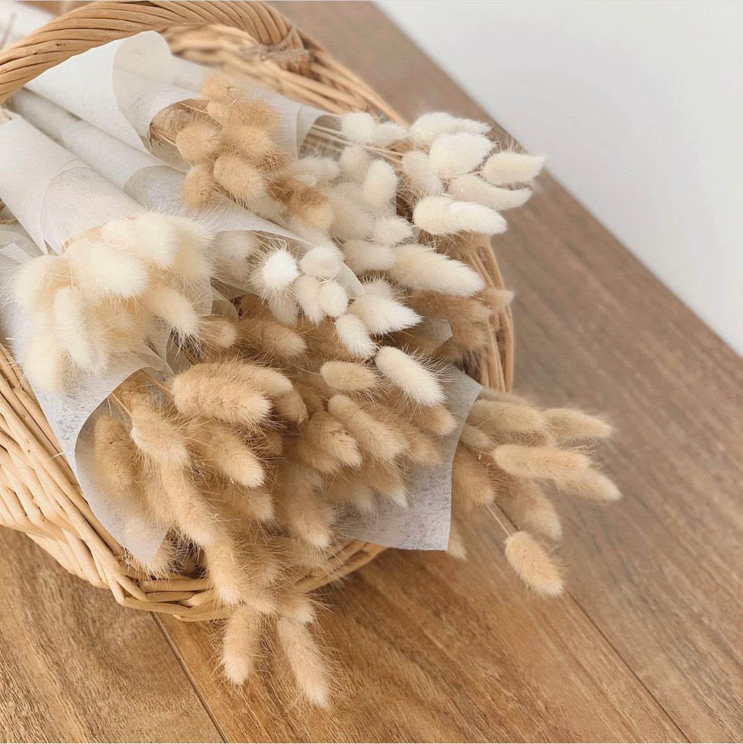 SMALL BUNNY TAIL BUNCH