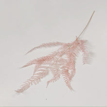 Load image into Gallery viewer, DRIED FERN STEM - PINK
