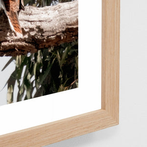 BIRDS EYE VIEW FRAMED PRINT