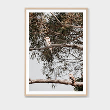 Load image into Gallery viewer, BIRDS EYE VIEW FRAMED PRINT
