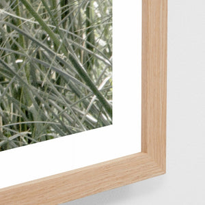 GENTLE BREEZE FRAMED PRINT