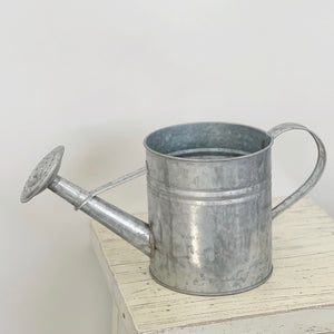 SILVER WATERING CAN