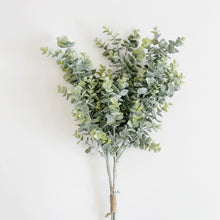 Load image into Gallery viewer, EUCALYPTUS BUNCH 64CM
