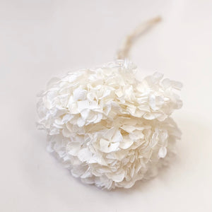 DRIED SOFT HYDRANGEA STEM - WHITE