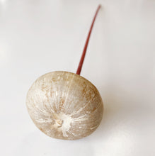 Load image into Gallery viewer, WOOD MUSHROOM
