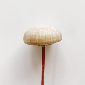 WOOD MUSHROOM