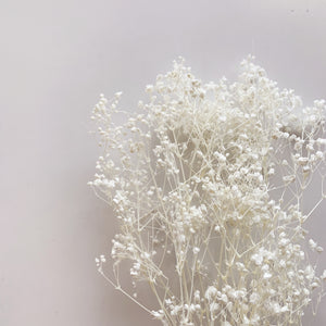 BABIES BREATH BUNCH - WHITE