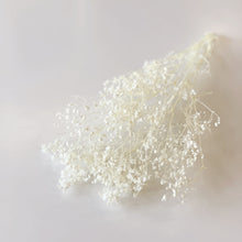 Load image into Gallery viewer, BABIES BREATH BUNCH - WHITE
