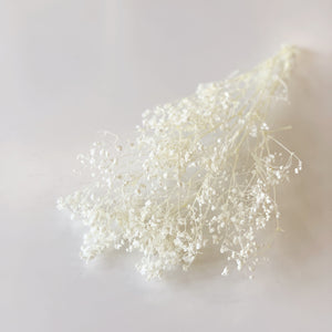 BABIES BREATH BUNCH - WHITE