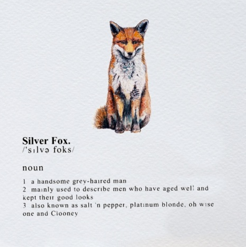 SILVER FOX CARD