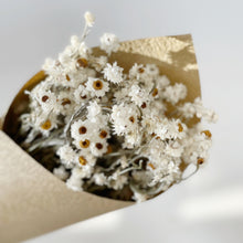 Load image into Gallery viewer, DRIED DAISY BUNCH
